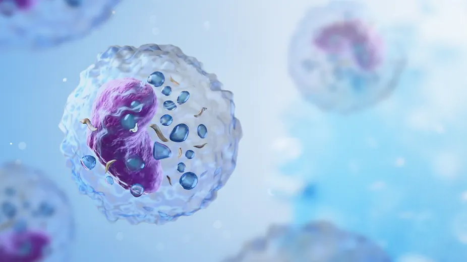 Lymphocyte Subset Mobile